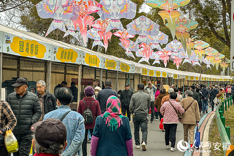 九游娱乐马鞍山花山区：小庙会撬动大产业(图2)