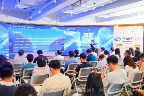 鸿蒙启航武汉游戏产业新生态对接会圆满落幕以生态共建赋能产业集群九游娱乐(图3)