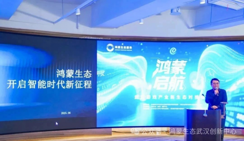 鸿蒙启航武汉游戏产业新生态对接会圆满落幕以生态共建赋能产业集群九游娱乐(图5)