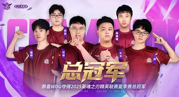 九游娱乐破界新生！WDG五局鏖战登顶HEL夏决玩家热梗“三年级打英魂”引爆十年情怀(图3)