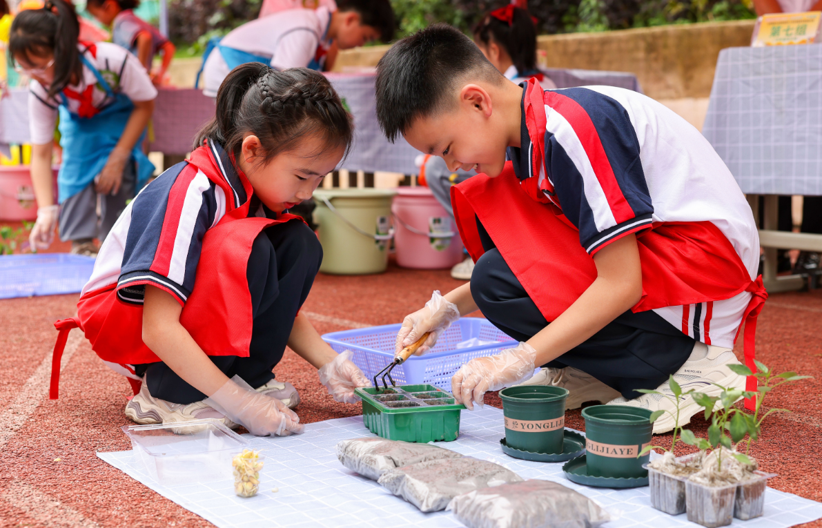 学生劳动九游娱乐技能比赛助成长(图2)